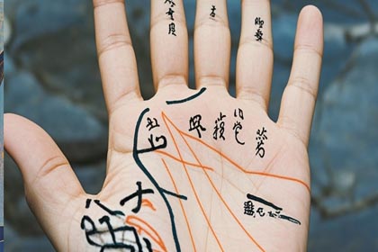 手掌丘,手掌纹,感情线,智慧线,生命线,事业线,财运线,婚姻线,手相图解