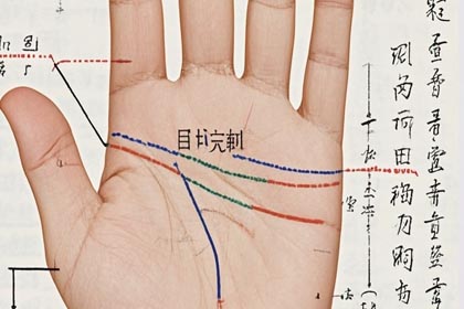 手掌丘,手掌纹,感情线,智慧线,生命线,事业线,财运线,婚姻线,手相图解