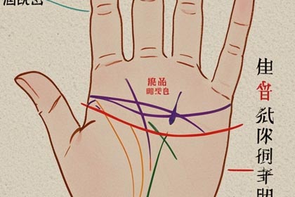 手掌丘,手掌纹,感情线,智慧线,生命线,事业线,财运线,婚姻线,手相图解