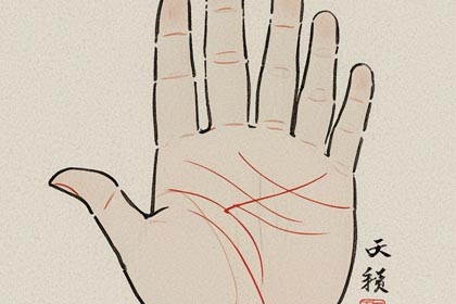 手掌丘,手掌纹,感情线,智慧线,生命线,事业线,财运线,婚姻线,手相图解