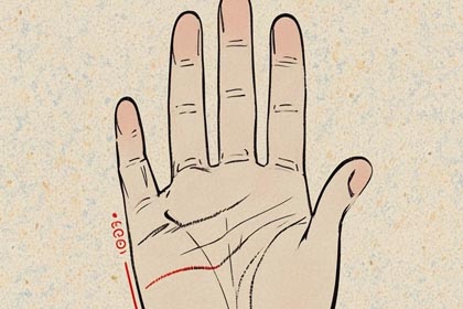 手掌丘,手掌纹,感情线,智慧线,生命线,事业线,财运线,婚姻线,手相图解