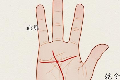 手掌丘,手掌纹,感情线,智慧线,生命线,事业线,财运线,婚姻线,手相图解