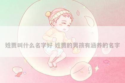 姓贾叫什么名字好 姓贾的男孩有涵养的名字