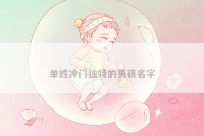 单姓冷门独特的男孩名字