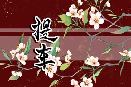 2025年农历七月十七提车日子如何 是提车好日子吗