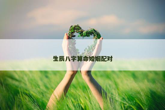 生辰八字算命婚姻配对