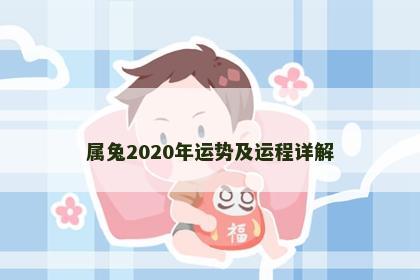 属兔2020年运势及运程详解