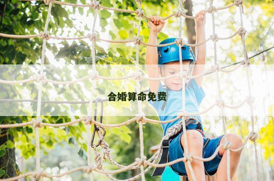 合婚算命免费
