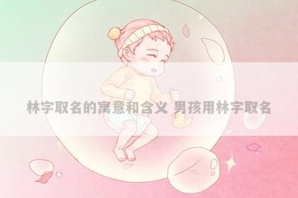 林字取名的寓意和含义 男孩用林字取名