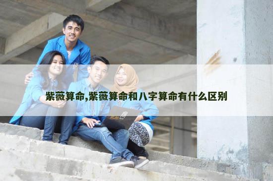 紫薇算命,紫薇算命和八字算命有什么区别