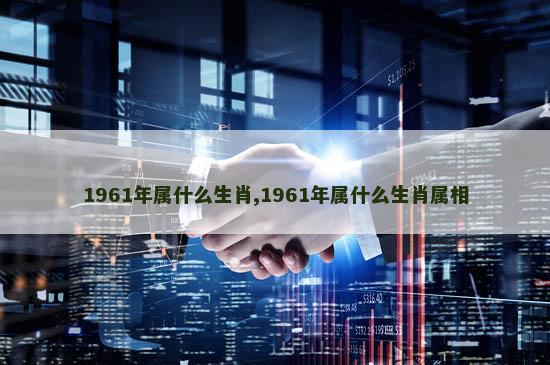 1961年属什么生肖,1961年属什么生肖属相