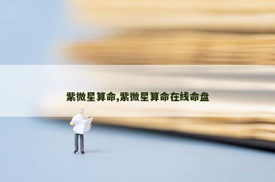 紫微星算命,紫微星算命在线命盘