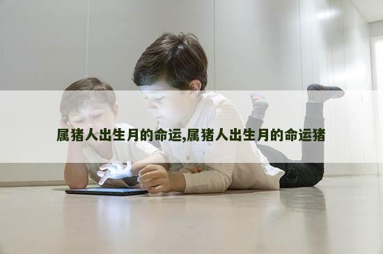 属猪人出生月的命运,属猪人出生月的命运猪