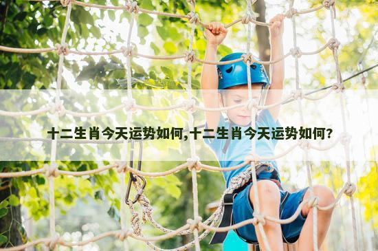十二生肖今天运势如何,十二生肖今天运势如何?