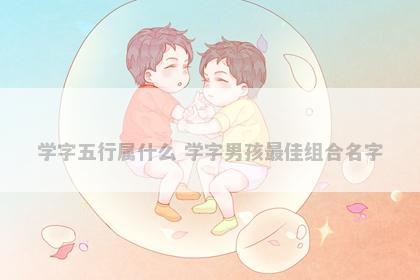 学字五行属什么 学字男孩最佳组合名字