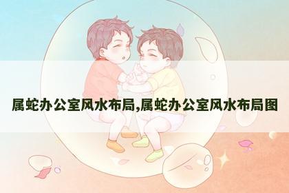 属蛇办公室风水布局,属蛇办公室风水布局图