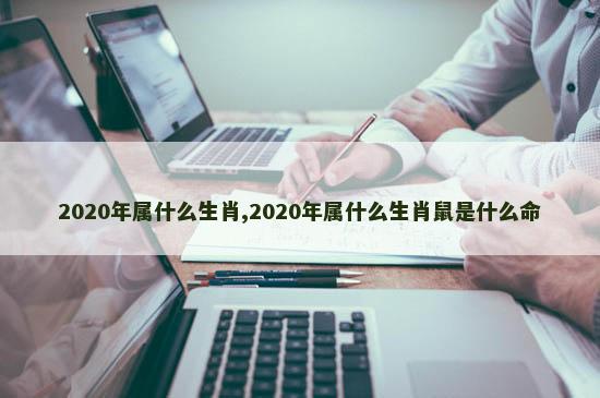 2020年属什么生肖,2020年属什么生肖鼠是什么命