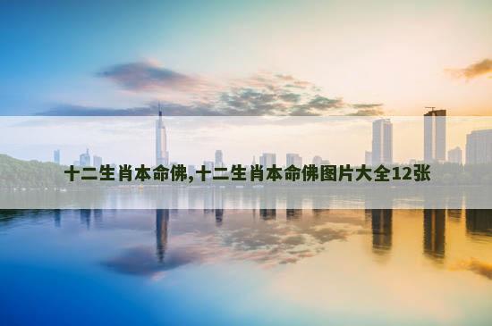 十二生肖本命佛,十二生肖本命佛图片大全12张