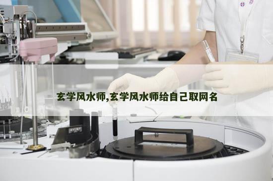 玄学风水师,玄学风水师给自己取网名