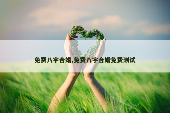 免费八字合婚,免费八字合婚免费测试
