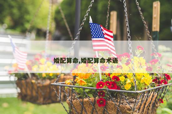婚配算命,婚配算命术语