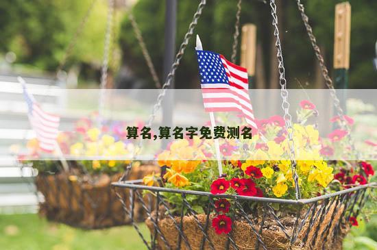 算名,算名字免费测名