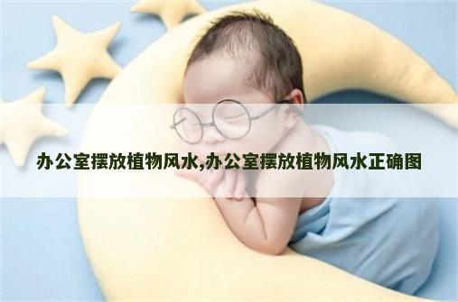 办公室摆放植物风水,办公室摆放植物风水正确图
