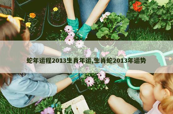 蛇年运程2013生肖年运,生肖蛇2013年运势