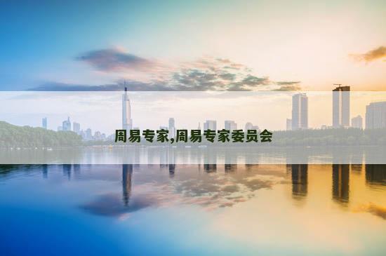 周易专家,周易专家委员会