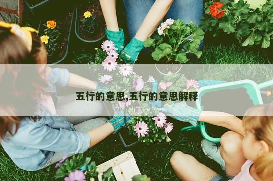 五行的意思,五行的意思解释