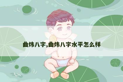 曲炜八字,曲炜八字水平怎么样