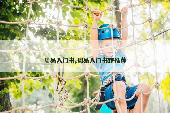 周易入门书,周易入门书籍推荐