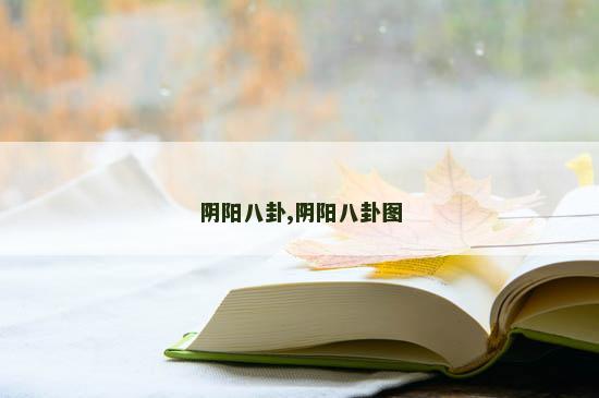 阴阳八卦,阴阳八卦图